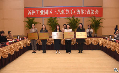 园区表彰一批三八红旗手（集体）