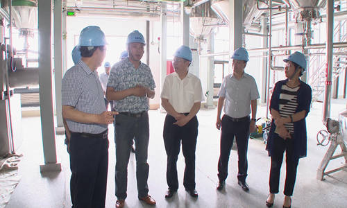崔爱国到生态化工园区督查调研相关工作