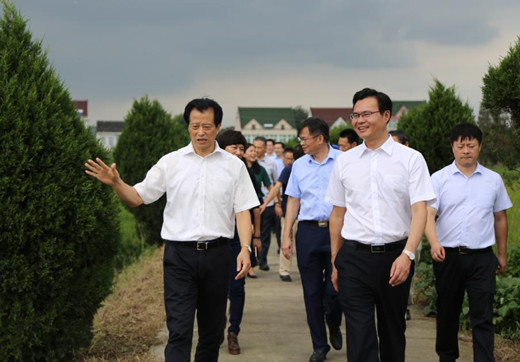 嘉兴市领导来平湖经开调研安全生产、“五水共治”工作
