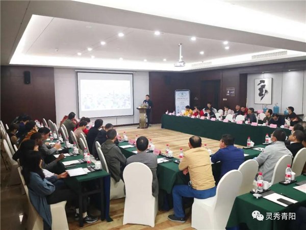 第四届非金属矿科技和产业论坛在青阳县开幕