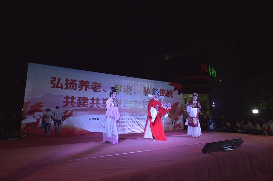 开发区举办重阳节公益综艺晚会