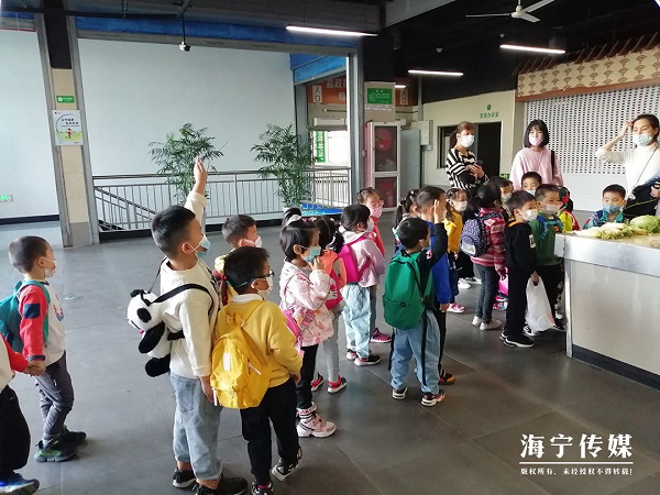 菜场里迎来了“小顾客”