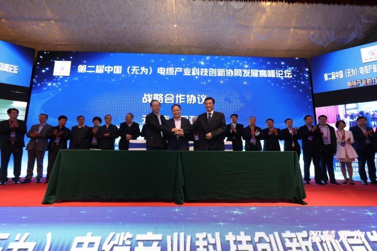 第二届中国（无为）电缆产业科技创新协同发展高峰论坛举行