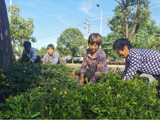 休宁：装扮绿化节点美环境