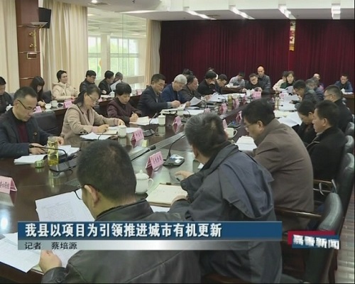 我县以项目为引领推进城市有机更新