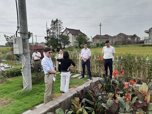 市建设局领导来我区调研指导农村生活污水治理工作