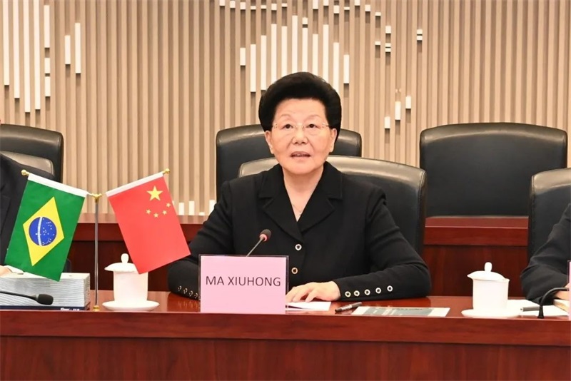 投促中国创始人吴永豪受邀出席中国-巴西企业家委员会2022年度会议