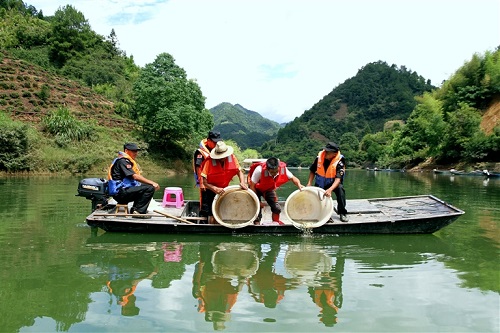 小鱼“治水”水更清