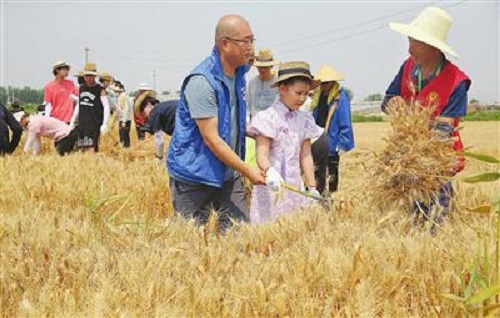 武清区黄花店镇举办第一届农耕文化旅游节暨农民丰收节活动