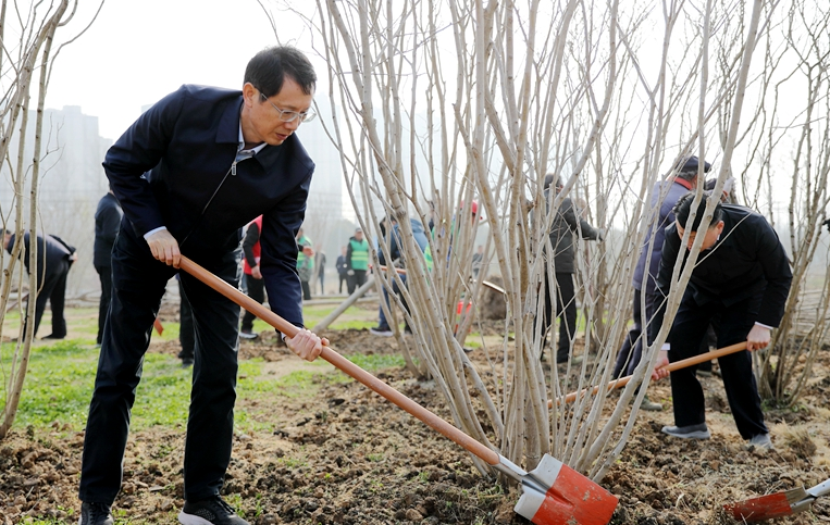 市领导集体参加义务植树活动