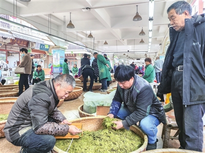 龙井茶交易升温