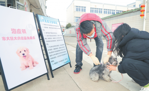 提高群众犬类狂犬病防控意识