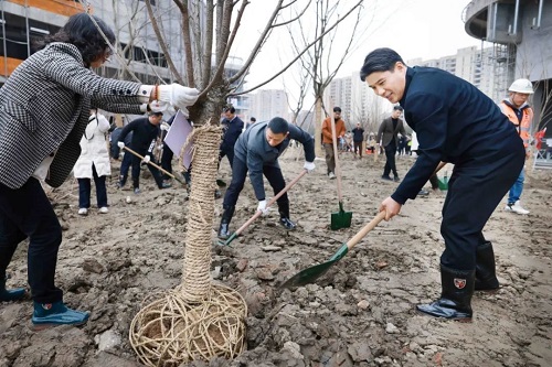 今天，嘉善植下一片新绿！