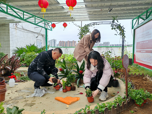 绿美建设 机关先行——清远市医保局多举措推动绿美清远建设