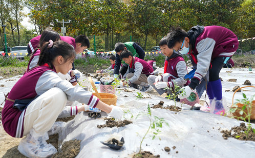 园区“红葑绿野”青少年校外教育基地在娄葑揭牌