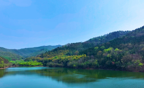 安徽马鞍山：守护生态资源 写好茶旅文章