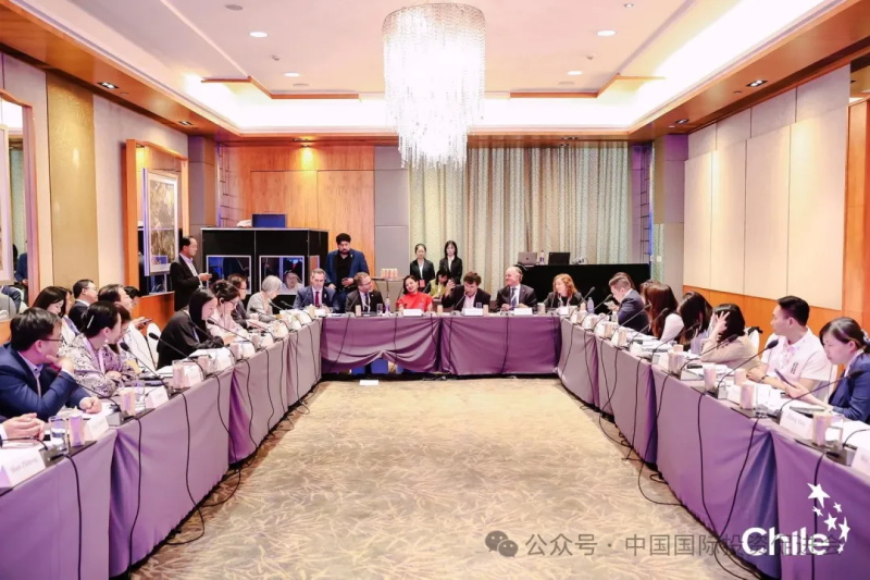 投促中国创始人吴永豪受邀出席2025智利-中国企业家峰会