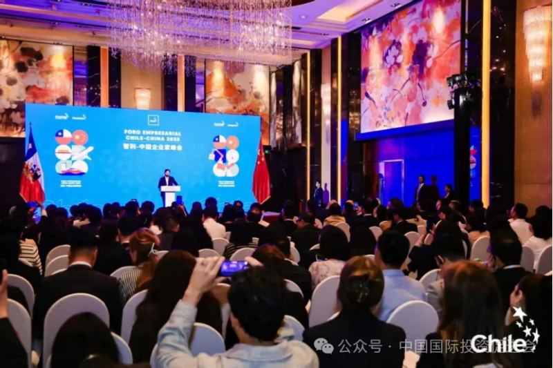 投促中国创始人吴永豪受邀出席2025智利-中国企业家峰会