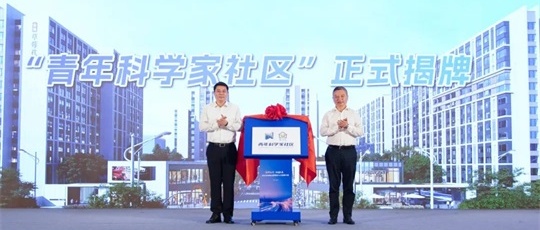 向新而行 青创未来 2025年宝山区青年人才发展大会召开