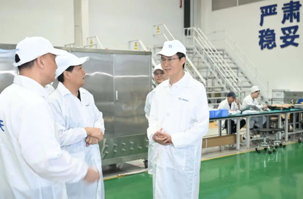 嘉兴市委书记陈伟来港区专题调研海洋经济提质发展工作