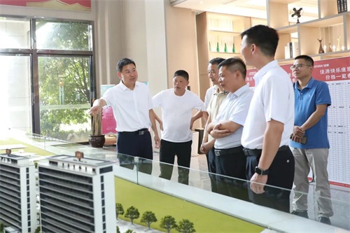陈利华督导重点项目推进工作
