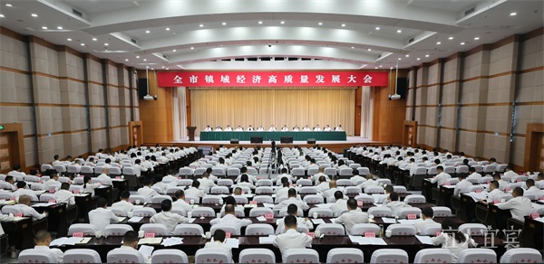 全市镇域经济高质量发展大会召开