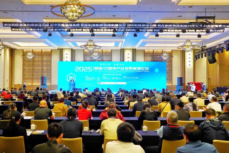 首届中国镁产业发展巢湖论坛举行