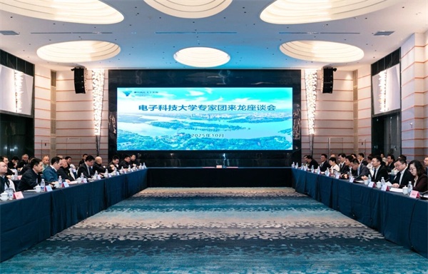 电子科技大学专家团来龙考察