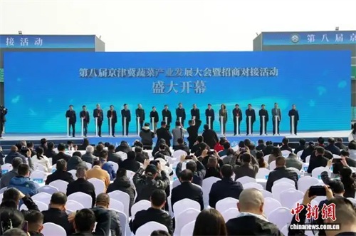 第八届京津冀蔬菜产业发展大会在衡水冀州举办