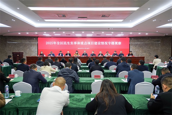 区人大、政协专题视察民生实事和重点项目建设情况