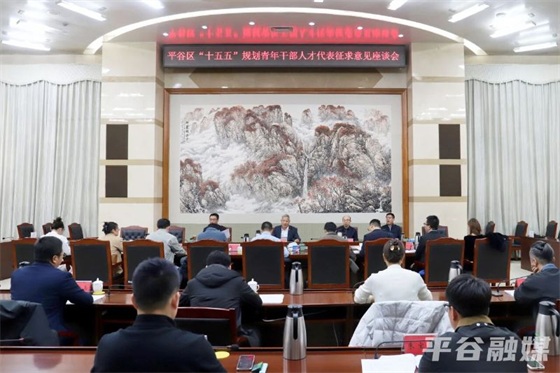 平谷区召开“十五五”规划青年干部人才代表征求意见座谈会