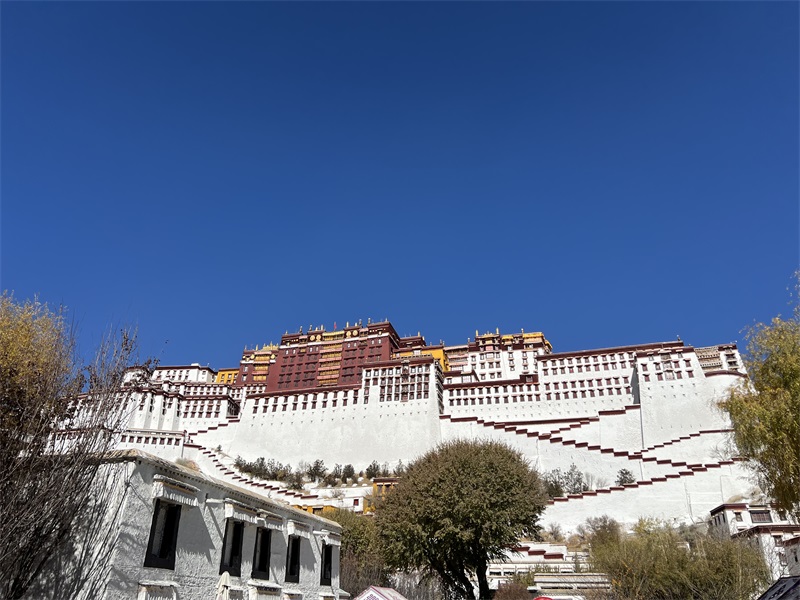 投促中国创始人吴永豪一行赴布达拉宫参观学习