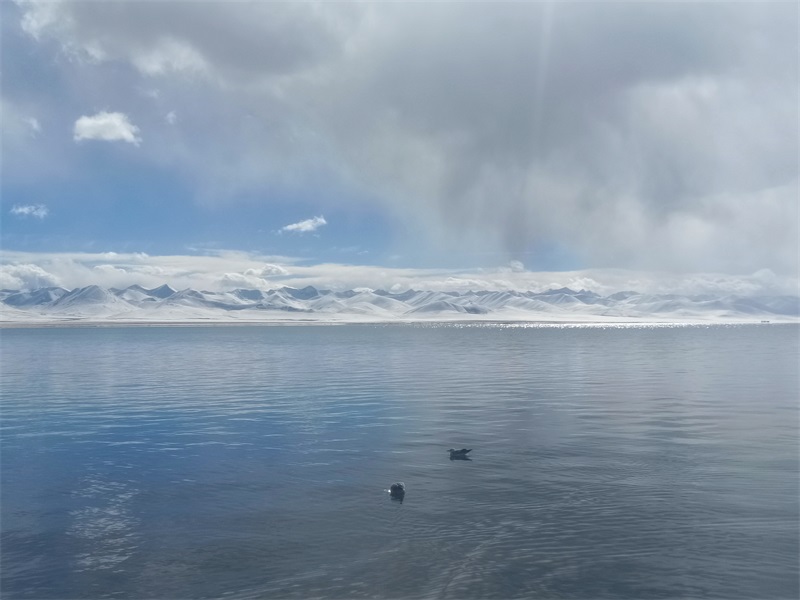 投促中国创始人吴永豪一行赴西藏第二大湖泊纳木措参观学习