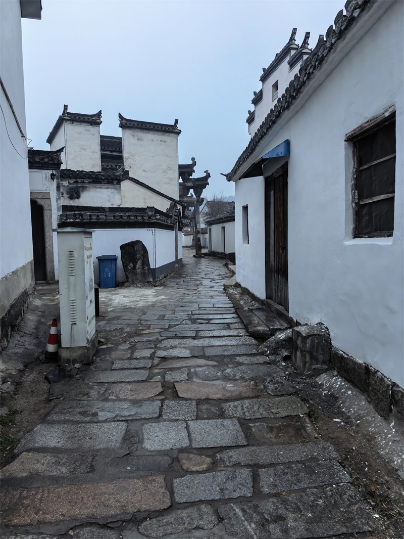 投促中国创始人吴永豪一行赴安徽省宣城市旌德县江村江氏宗祠参观学习