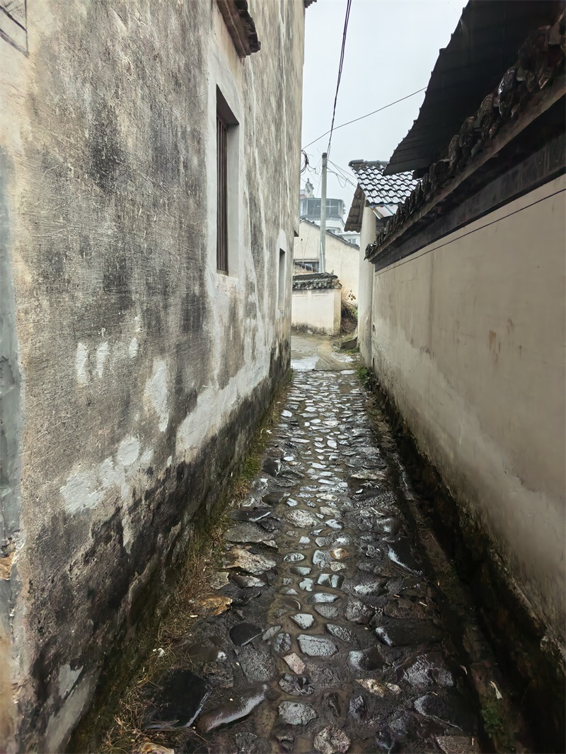 投促中国创始人吴永豪一行赴安徽省宣城市旌德县江村江氏宗祠参观学习