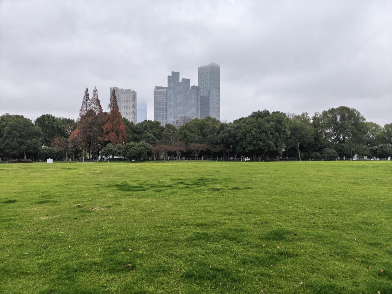 投促中国创始人吴永豪一行赴湖南省长沙市岳麓区橘子洲参观学习