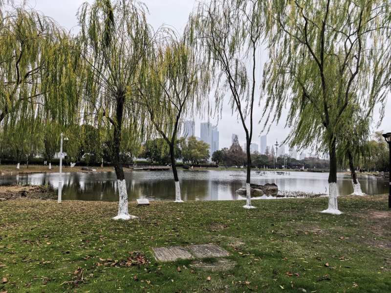 投促中国创始人吴永豪一行赴湖南省长沙市岳麓区橘子洲参观学习