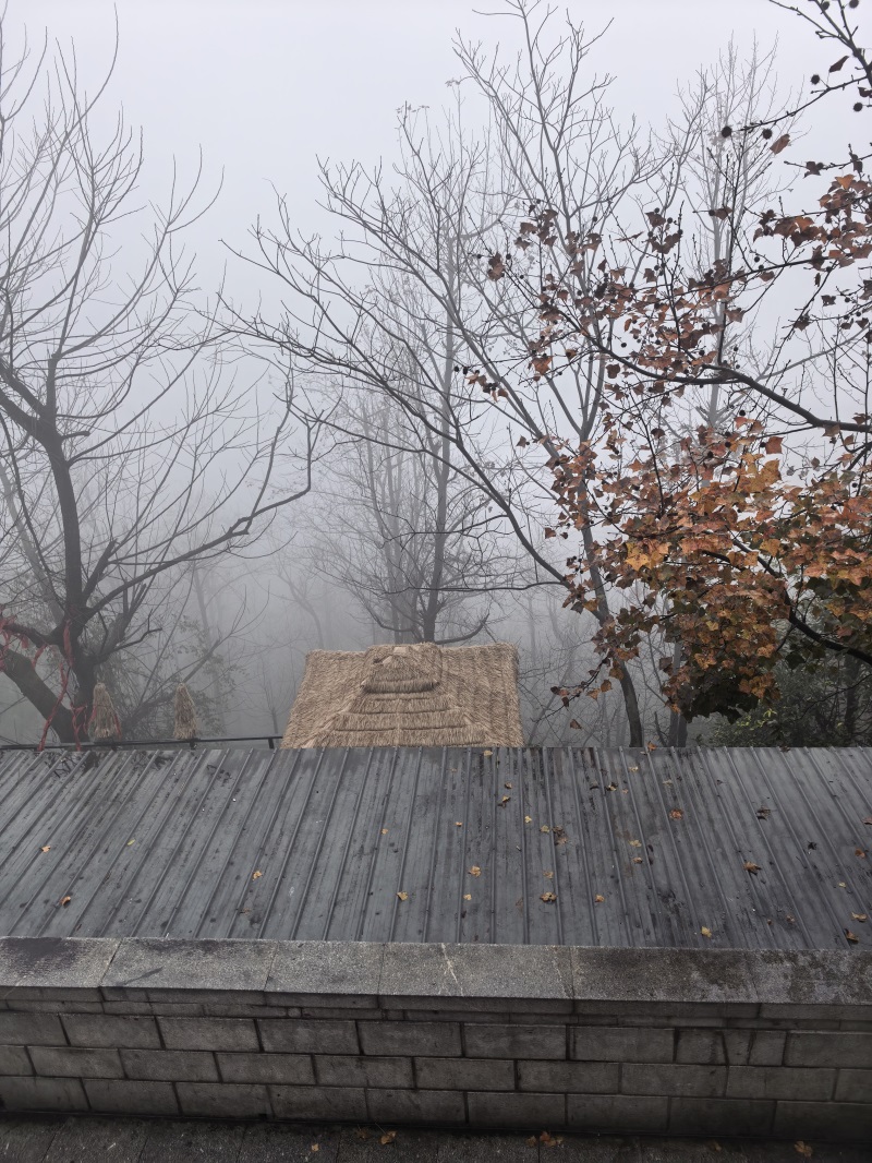 投促中国创始人吴永豪一行赴湖南省长沙市岳麓区岳麓山景区参观学习