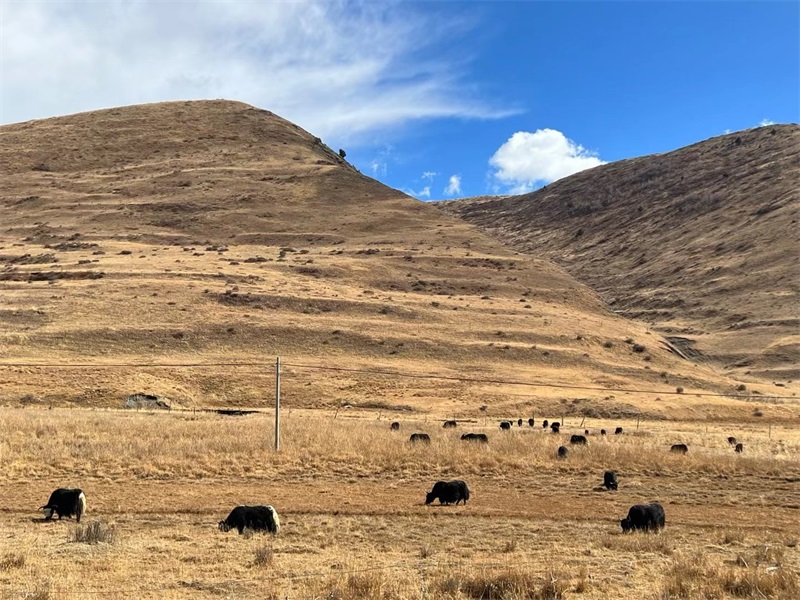 投促中国创始人吴永豪一行赴四川省甘孜藏族自治州泸定县四川贡嘎山国家级自然保护区参观学习