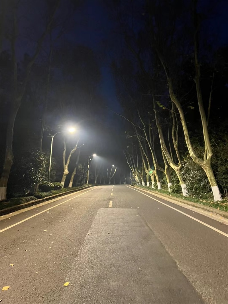 投促中国创始人吴永豪一行赴江苏省南京市玄武区紫金山南麓全国第一批重点文物保护单位中山陵参观学习