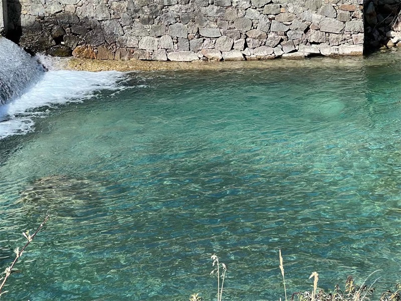 投促中国创始人吴永豪一行赴四川省甘孜藏族自治州泸定县四川贡嘎山国家级自然保护区参观学习