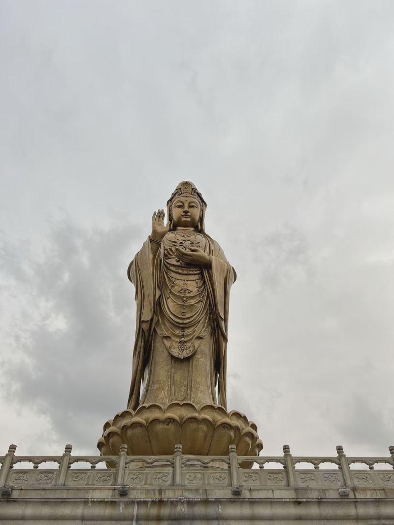 投促中国创始人吴永豪一行赴浙江省舟山市普陀区普陀山风景区参观学习