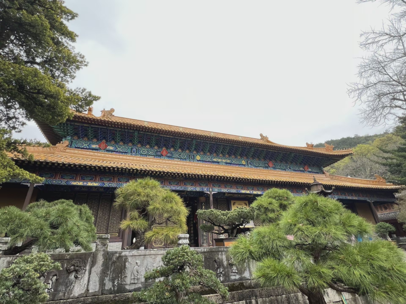 投促中国创始人吴永豪一行赴浙江省舟山市普陀区普陀山风景区参观学习