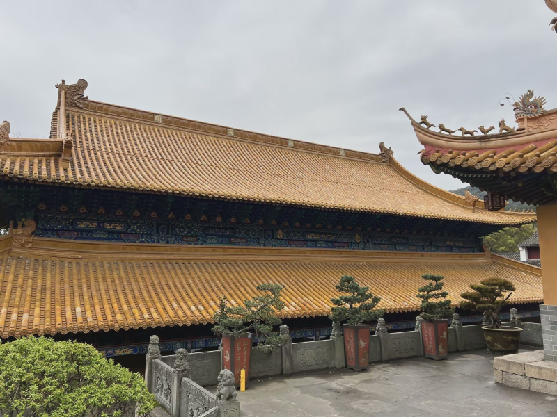 投促中国创始人吴永豪一行赴浙江省舟山市普陀区普陀山风景区参观学习