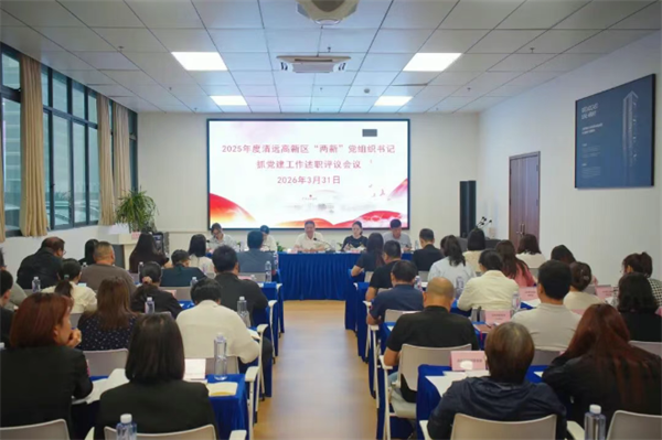高新区召开2025年度“两新”党组织书记抓党建工作述职评议会议